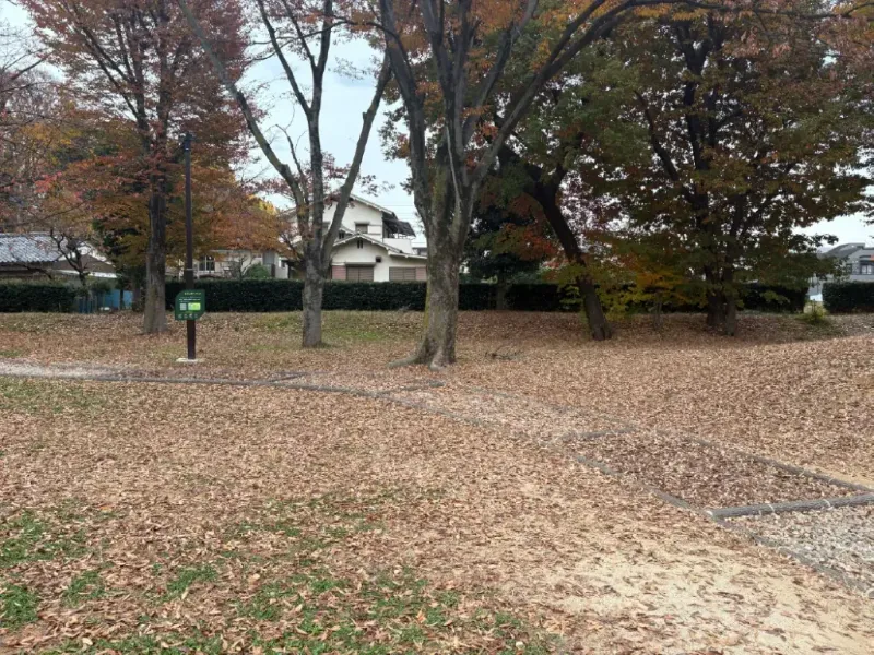 与野公園 南園のはだしのひろば