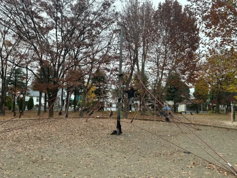 与野公園 北園のネットのジャングルジム