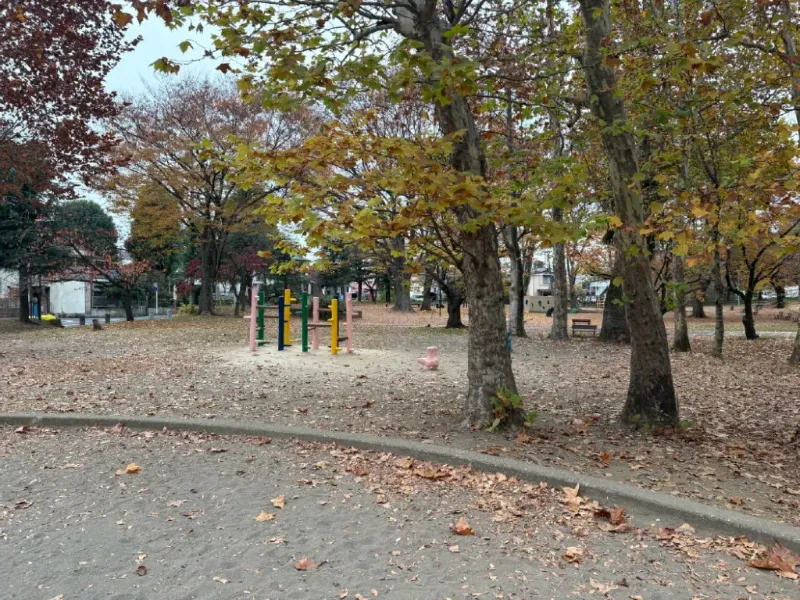 与野公園 北園の弁天池