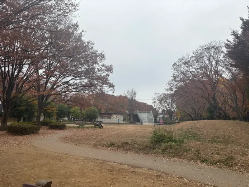 与野公園 平日の遊具エリアの様子